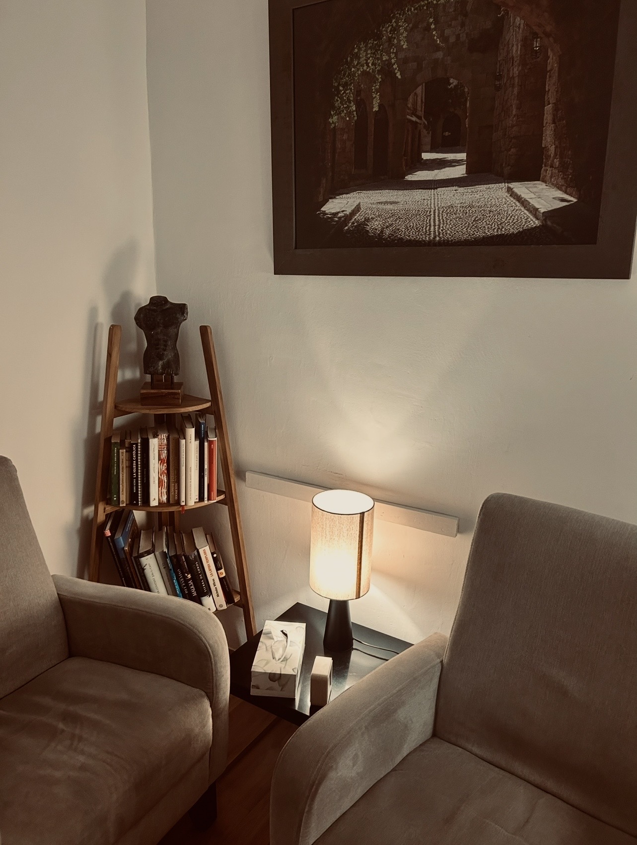 Corner of the consulting room with two armchairs, a bookshelf and a lamp