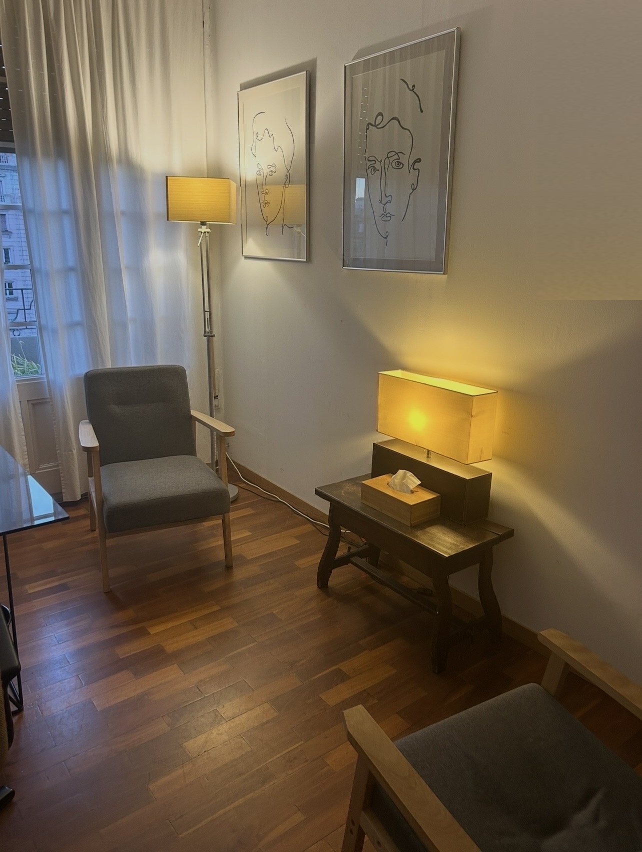 Consulting room with an armchair by a curtained window
